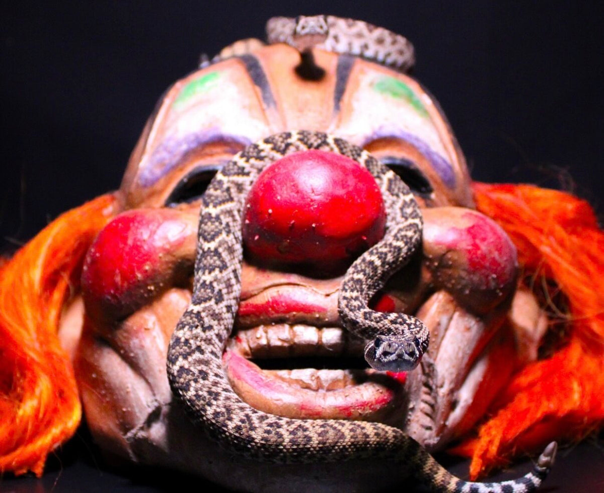 Western diamondback on a clown mask